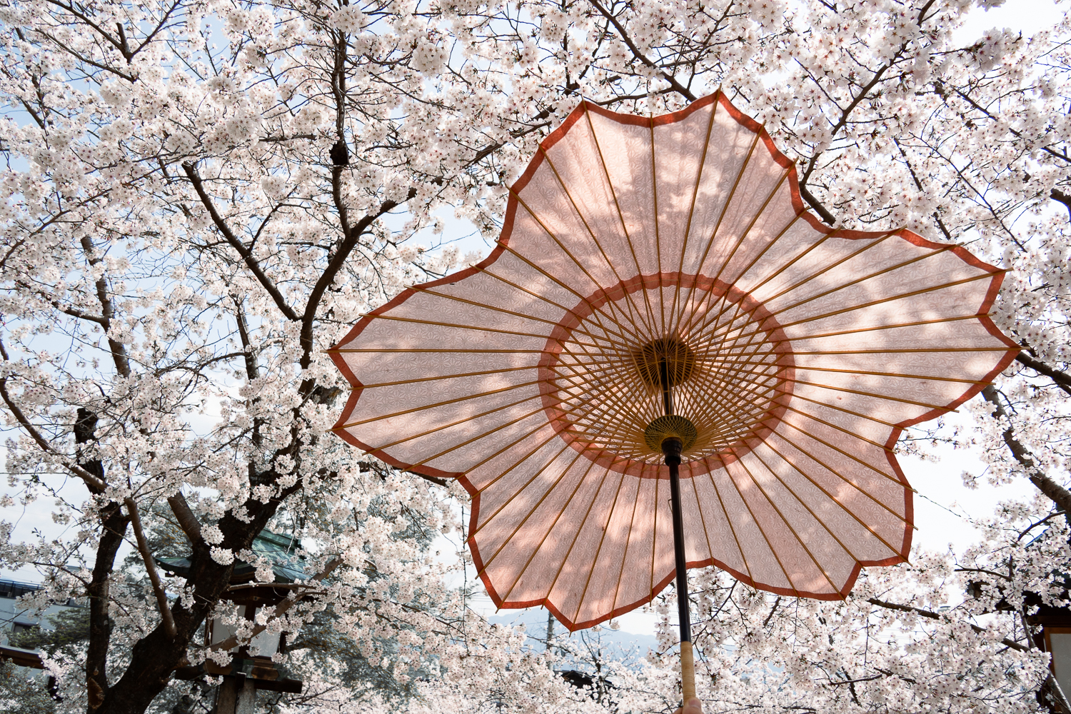 傘置物，古銅製，工藝美術品，高73cm，重4000克。 傘置物，古銅製，工藝美術品，高73cm，重4000克。